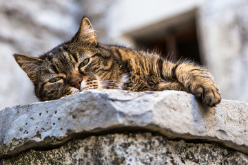 L'heure de la sieste