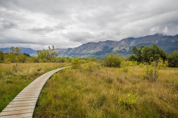 Curved wooden path in glenorchy, new zealand