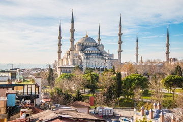 Fototapeta na wymiar The Blue Mosque in Istanbul
