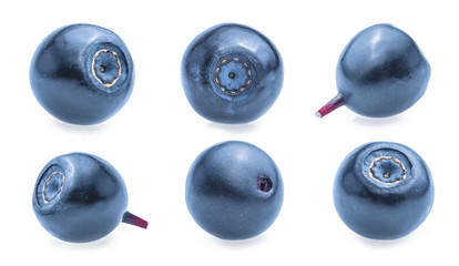 Blueberries isolated on white background
