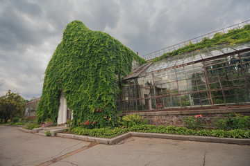 Old building with the green Ivy. Architecture