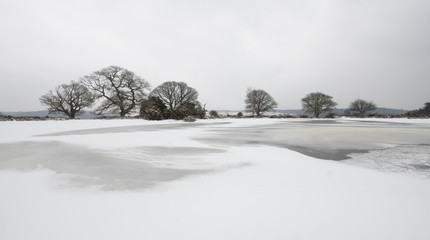 A snowy scene in the New Forest at Mogshade Hill.