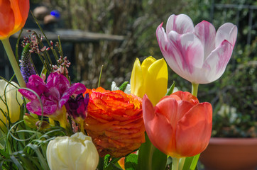 Blumenstrauß