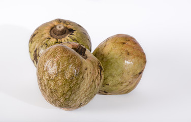 Custard Apple or Ramphal (Annona reticulata} fruits