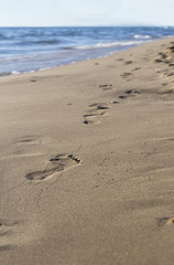 personal impressions left on the sand of the beach
