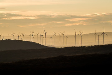 Fototapeta na wymiar Wind Farm of Wind Turbines