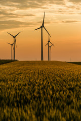 Wind Farm of Wind Turbines