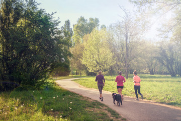 Obraz premium girls running at park with dog, jogging with friends health mode