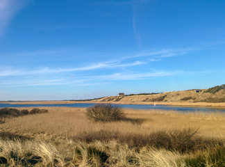 Yellow grass field with a river