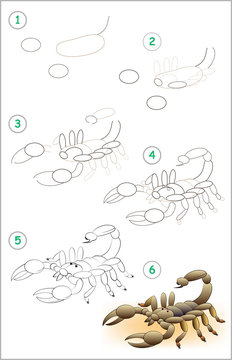 Page shows how to learn step by step to draw a scorpion. Developing children skills for drawing and coloring. Vector image.