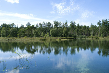Fototapeta na wymiar Laesoe / Denmark: Lakeside of the dreamy swimming pond in the woods near Byrum