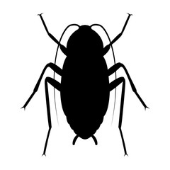 Vector image of silhouette of cockroach