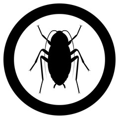 Vector image of silhouette of cockroach