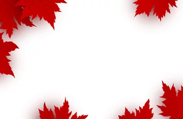 Fotobehang Canada day background design of red maple leaves isolated on white background with copy space vector illustration © ArtBackground