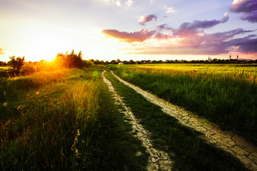 Naklejka premium Rural morning landscape