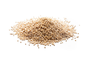 quinoa seed grain