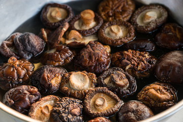 Obraz premium Shiitake mushrooms soaking water in a bowl.