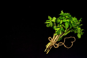 mint leaves on black background