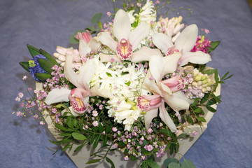 flowers bouquet of white orchids
