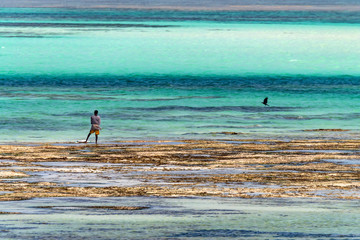 Fototapeta na wymiar Man stands on beach of Zanzibar at low tide