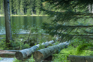 Gro&szlig;er Arbersee im Bayerischen Wald