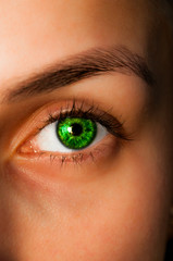 beautiful woman's green eye. Close up shot