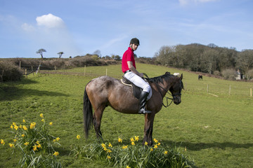 Rider on Horseback in field, wearing red polo shirt, white trousers, black boots with horses in the background