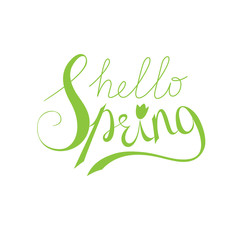 Hello spring lettering vector illustration
