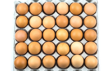 Fresh Eggs in the package isolated