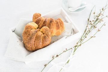 two brioche in a tray