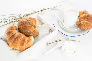italian breakfast: croissant and milk