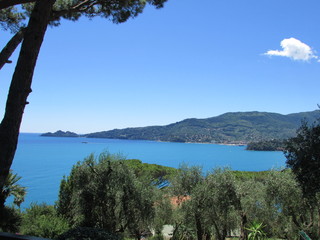 Obraz premium portofino