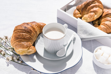 brioche and cup of milk for an outdoor italian breakfast