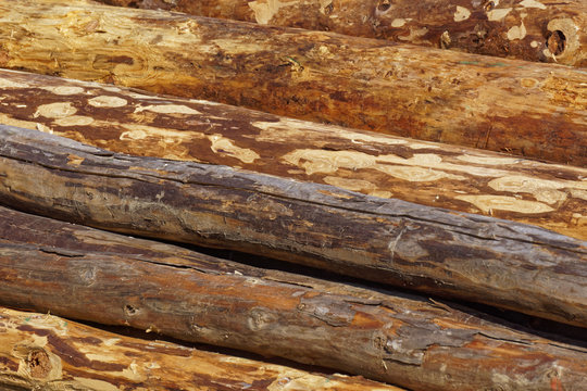 log pile, close up
