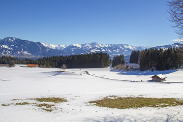 Allgäu - Diepolz - Immenstadt - Wandern - Alpen - Grünten - Berge - Schnee - Schmelzen