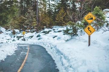 winter snow forest bike lane
