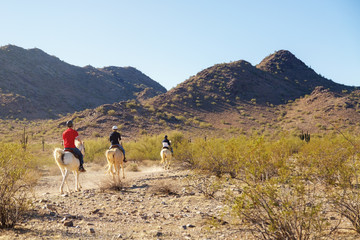 Obraz premium Jazda konna przez pustynię w Arizonie