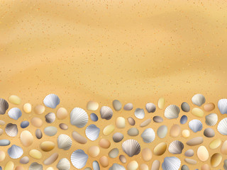 Shells on the sand. Stones and seashells background. Summer seashore vector. Ocean sand texture. Travel and vacation illustration. Tropical beach surface.