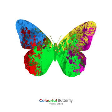 Paint Splatter Animals - Butterfly