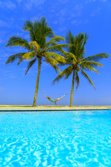 swimming pool and the blue sea with palmcoconut trees