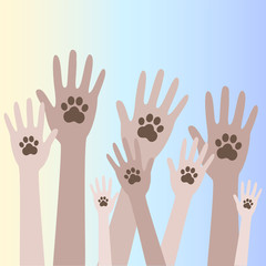 Animal dog paw in people hand 5