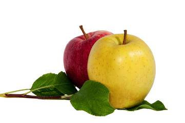 Mela rossa e maela gialla