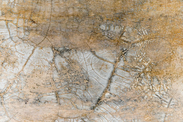 grunge cement wall texture.Gray cracked on the cement wall.