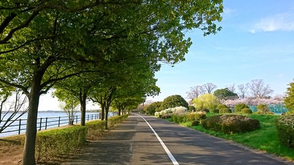 湖畔のサイクリングロード