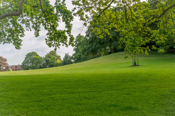 Cherry Hill Park opposite Ely Cathedral near Cambridge, Cambridgeshire, Norfolk, UK