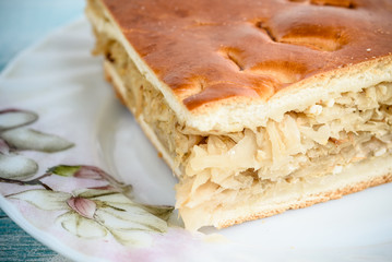  big piece of cake with cabbage on a plate