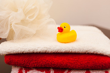 Duck and towels