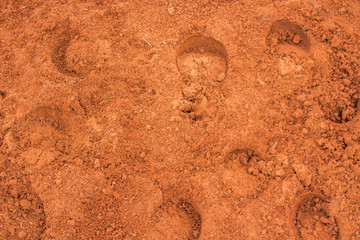 Pista de caballos, hipódromo