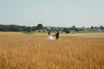 Wedding couple is spinning in the summer wheat field. Bride in white puffy dress hold groom's hands...