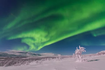 Fotobehang Amazing Aurora Borealis (Northern lights) in arctic Lapland © ilyaska